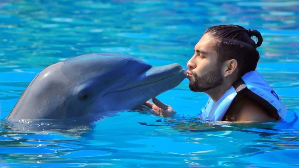 Punta Cana: Dolphin Discovery Swims and Encounters - Bild 4