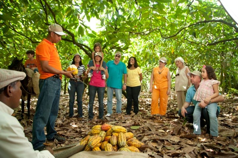 Dominican Republic: 3-Hour Chocolate Lovers Tour - Imagen 3
