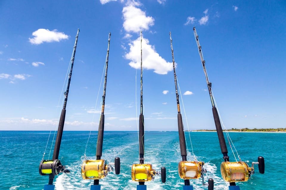 4 Hour Deep Sea Fishing Experience From Punta Cana - Bild 2