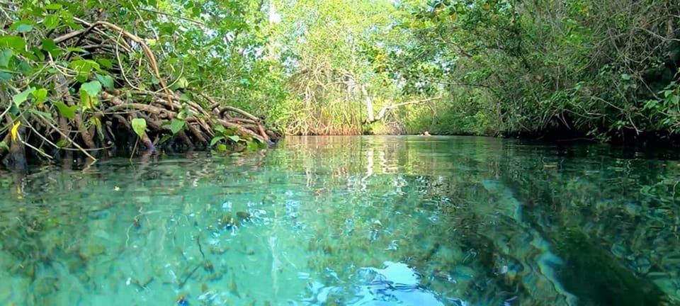 Adventure in Buggies in Playa Rincón from Samaná - Immagine 11
