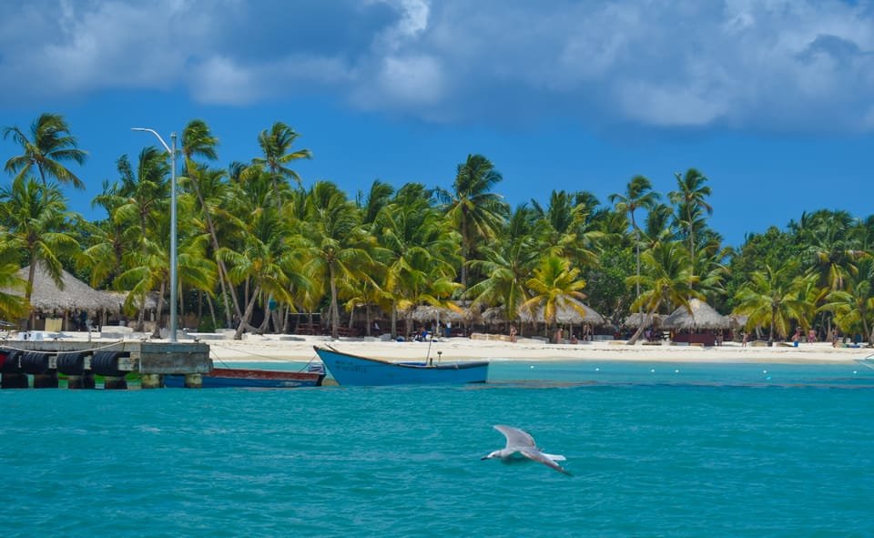 From Punta Cana: Saona Island Full Day Trip with Lunch - Bild 14