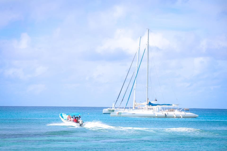 Bayahibe: Saona Island Excursion - Image 14