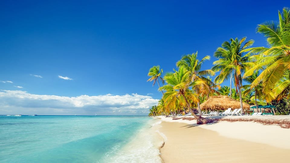 From Punta Cana: Saona Island Full Day Trip with Lunch - Bild 16