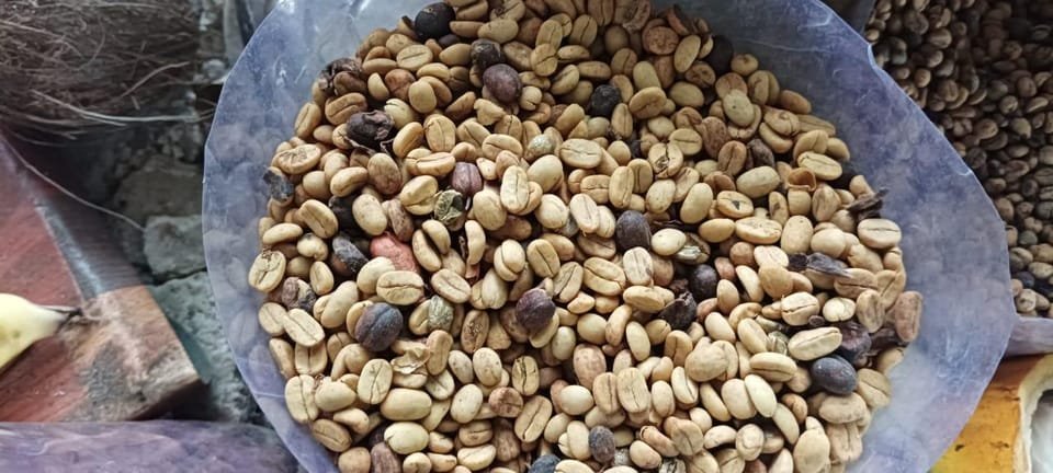 Punta Cana: Higuey, Coffee and Cocoa Tasting Tour with Lunch - Bild 18