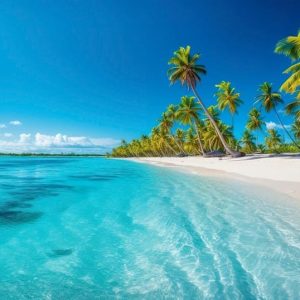 Punta Cana: Catalina Island Snorkeling Tour with Lunch