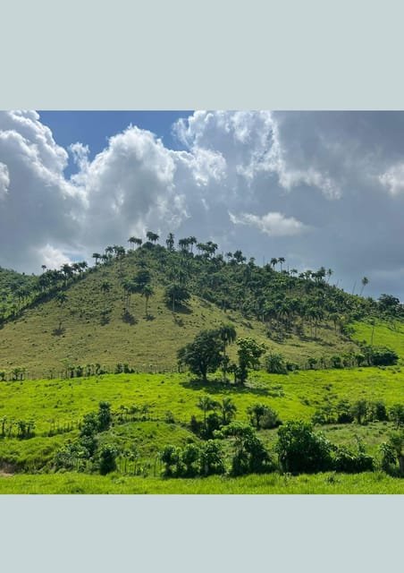 Punta Cana: Higuey, Coffee and Cocoa Tasting Tour with Lunch - Bild 21