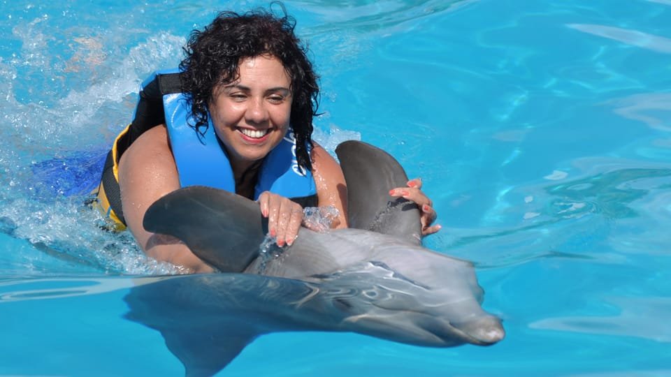 Punta Cana: Dolphin Discovery Swims and Encounters - Bild 22