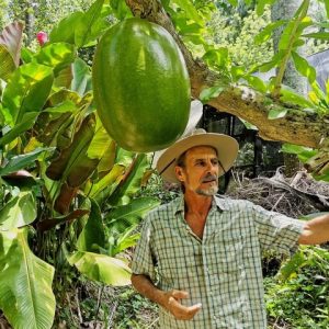 Puerto Plata: Taino Valley and Dominican Flavor Experience