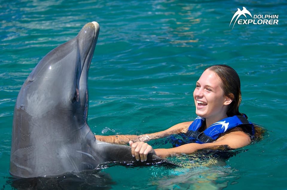 Swim with Dolphins in Punta Cana - Bild 3