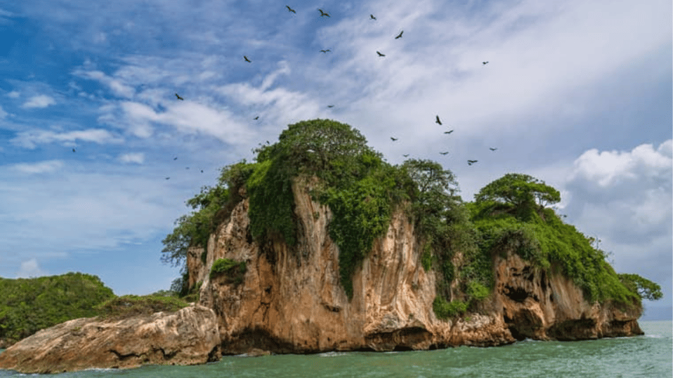 Discover Los Haitises National Park with Delicious Lunch - Obrázek 4