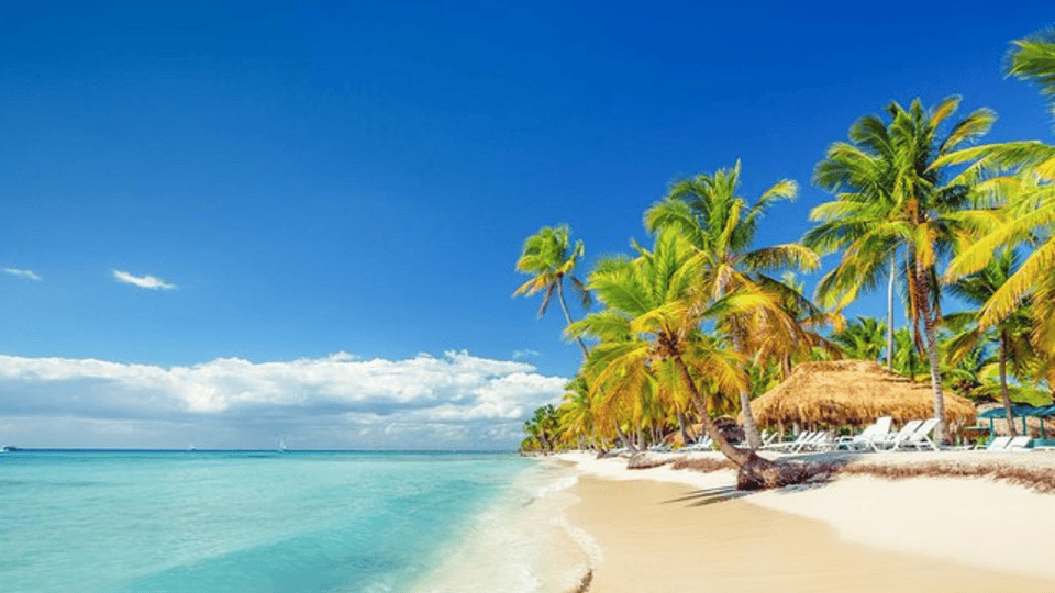 Saona Island Full-Day with Pickup in your Hotel Punta Cana - Obrázek 4