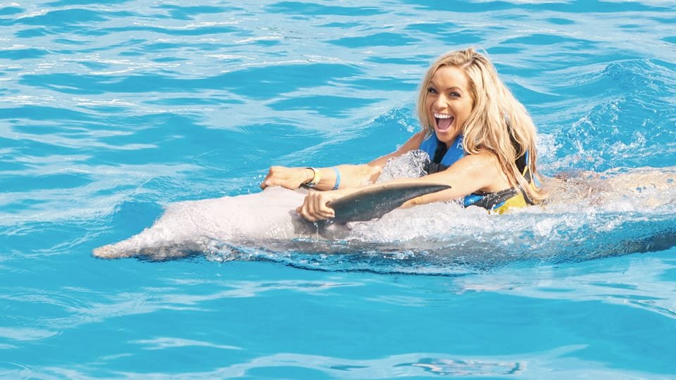 Punta Cana: Dolphin Discovery Swims and Encounters - Bild 24