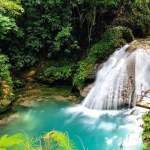 Jamaica: Full Day Dunn's River and Blue Hole with Lunch