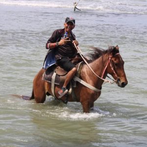 Beach horse back riding and countryside