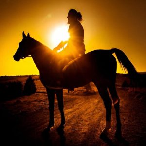 Punta Cana: Cavalcata al tramonto nella spiaggia e nella foresta di Macao