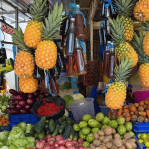 From Punta Cana: History and Culture Tour with River Swim