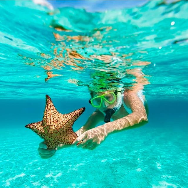 Discover Saona Island: Enjoy The Paradise - Obrázek 5