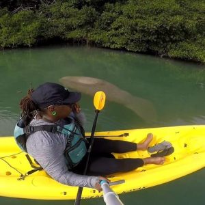 Los Haitises: Sunrise or Sunset wildlife focus