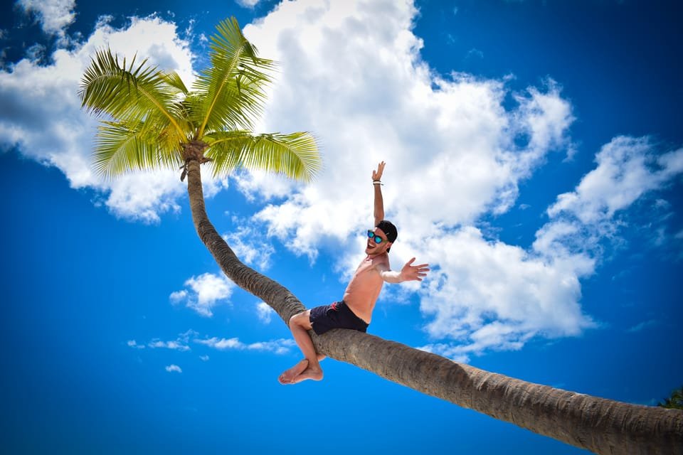 From Punta Cana: Saona Island Full Day Trip with Lunch - Bild 33