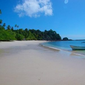 Saona Island Tour with Lunch from Punta Cana