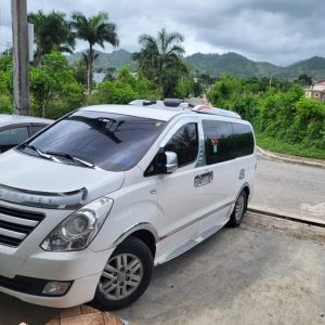 Private Tranasfer from Punta Cana Airport to Riu Bambu hotel