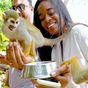 Monkeyland tour + Transportation from cruise/hotel