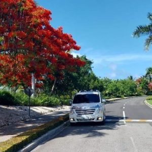 Private Transfer from Riu Republica to Punta Cana Airport