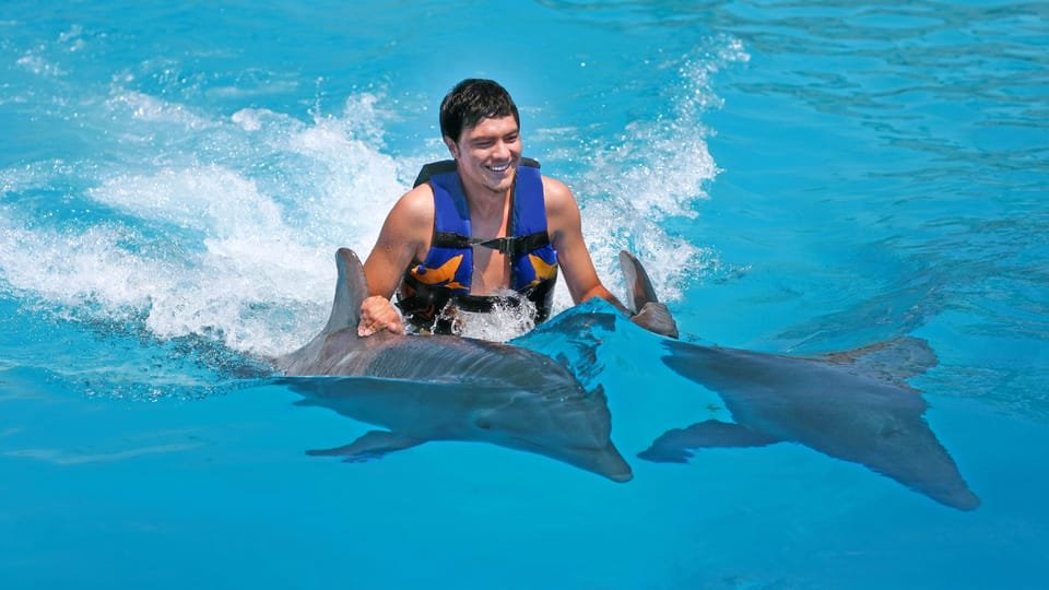 Punta Cana: Dolphin Discovery Swims and Encounters - Bild 3