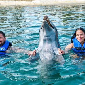 Puerto Plata: Ocean World Adventure Park Swim with Dolphins