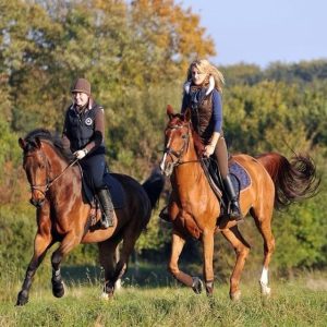 HORSEBACK RIDING BEACH MACAO PUNTA CANA WITH PICKUP HOTEL