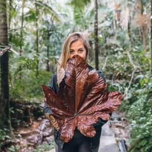 Sabana de la Mar: Private Los Haitises Hike and Kayak