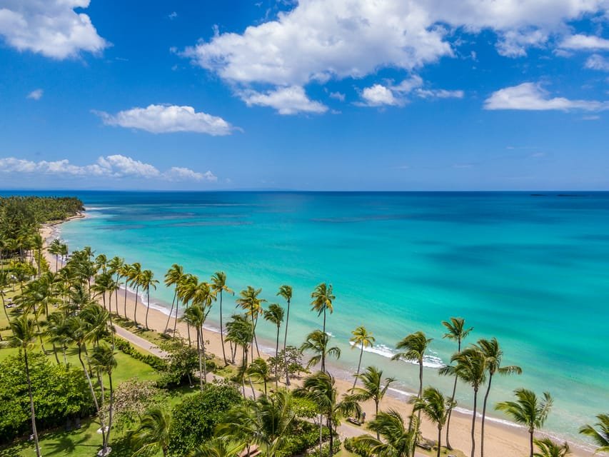 Saona Island: Beaches and Natural Pool Cruise with Lunch - Immagine 10