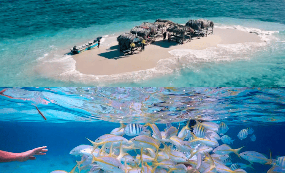 Cayo Arena: Paradise Island and Mangroves Tour - Immagine 6