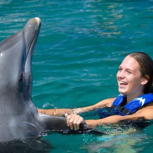 Punta Cana : Nage et interactions avec les dauphins