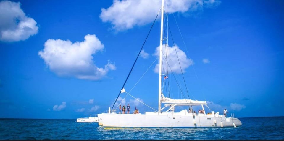 Aventura Exótica a Isla Saona: Paraíso en la Piscina Natural - Bild 8