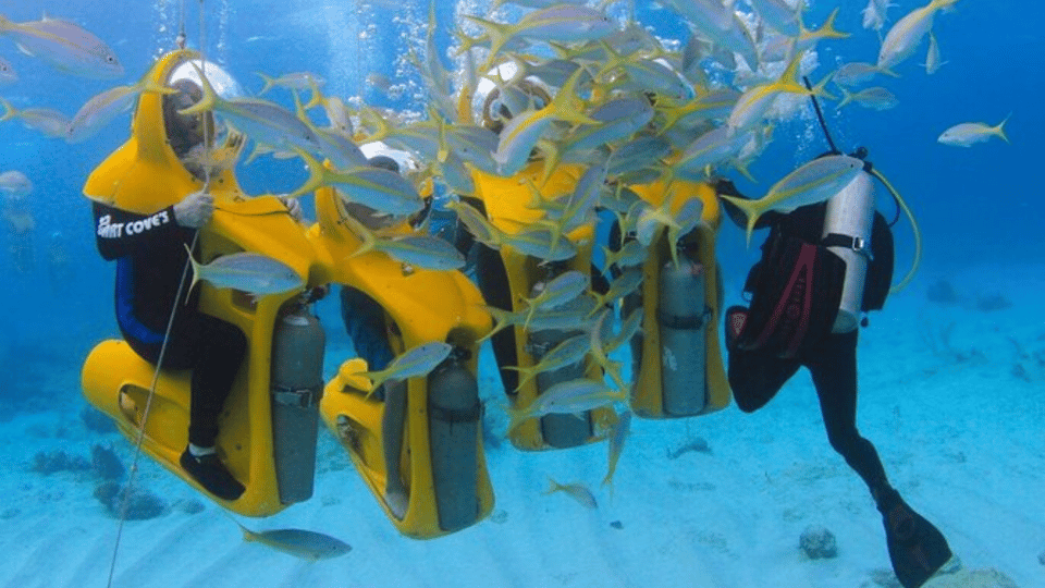 Punta Cana: Scubadoo Explore The Ocean - Image 9