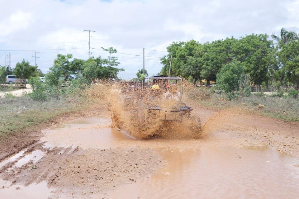 Tour Buggy de Medio día Playa Macao - Bild 9