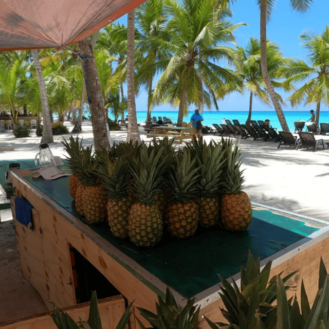 Saona Island: Full-Day Boat Tour with Drinks & Buffet Lunch - Immagine 9