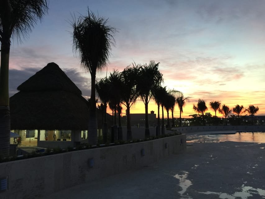 Punta Cana: Dolphin Discovery Swims and Encounters - Bild 10