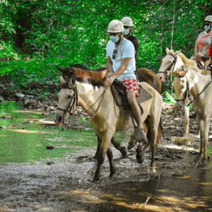 Punta cana: 3 tour zip line, buggy and horse ride.