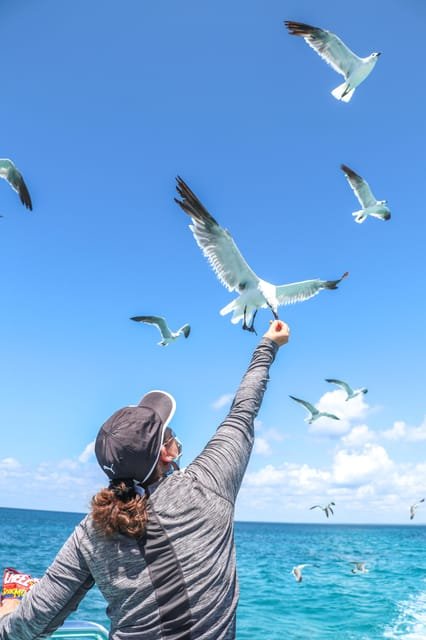 Saona Island: Incredible day With buffet from Punta Cana - Obrázek 10