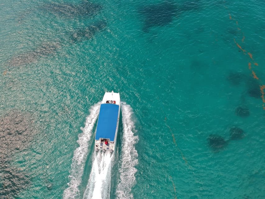 Saona Island: Full-Day Boat Tour with Buffet Lunch & Drinks - Bild 11