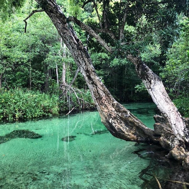 Adventure in Buggies in Playa Rincón from Samaná - Immagine 10