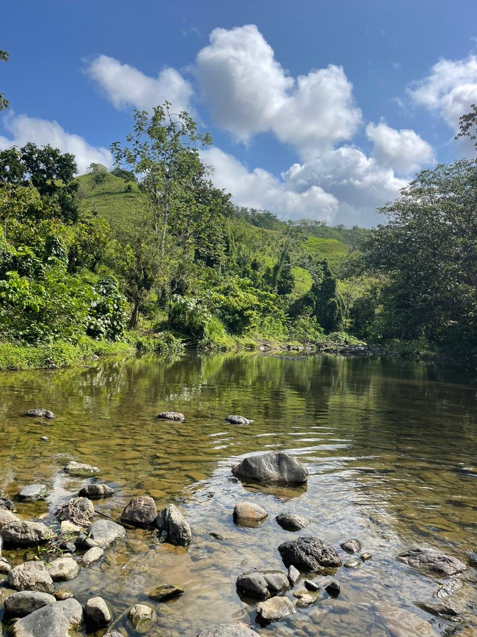 Salto de la Jalda – Horseback & Hiking Adventure From Miches - Obrázek 9