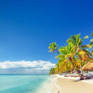 Bayahibe : Excursion d'une journée sur l'île de Saona