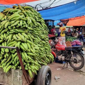 From Puerto Plata Priv: Cocoa, Coffee, Cigars & Local Market