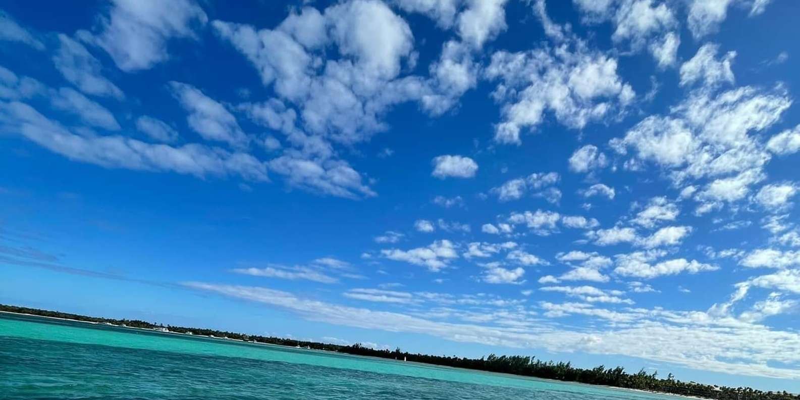 Speedboat Adventure: Exhilarating Experience in Punta Cana - Immagine 2