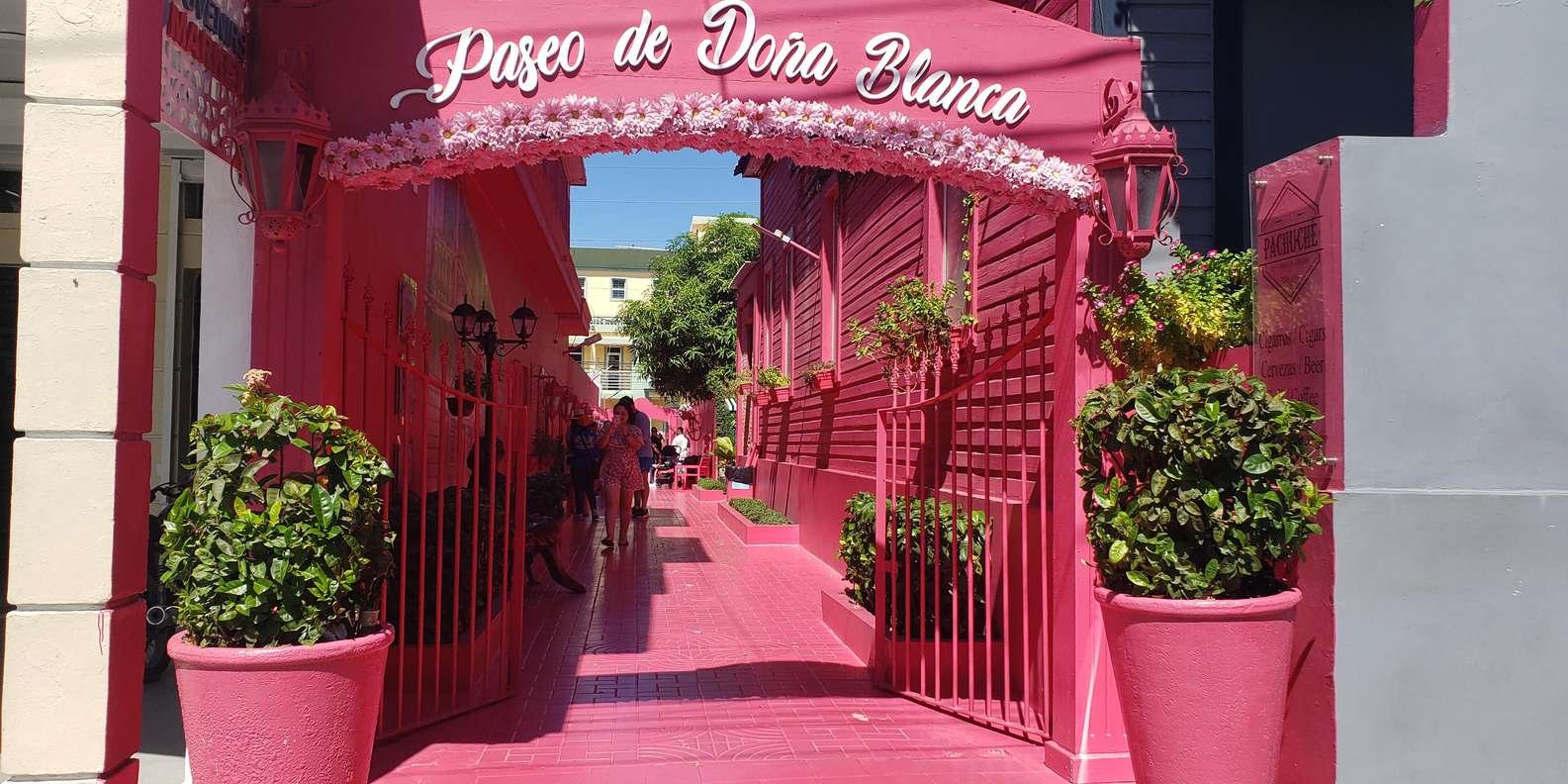 Higlihts of Puerto Plata and Dominican Tasting - Image 2