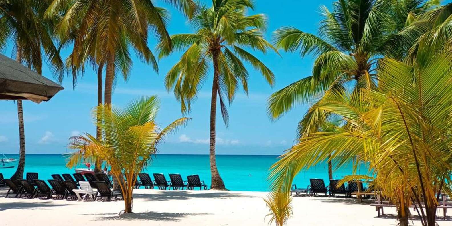 Full-Day Saona Island Tour by Speedboat - Bild 2