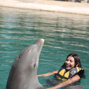 Puerto Plata Ocean World Dolphin Swim